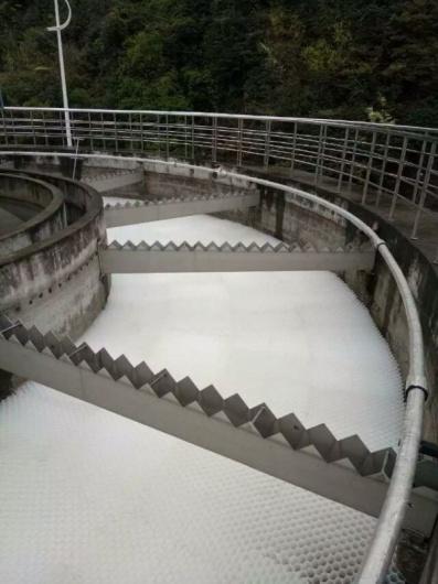 �V�����̌�����б��