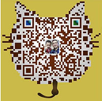 ϵ��ʽ-����DƬ